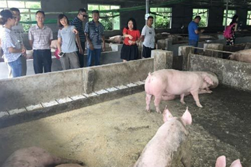 威尼斯人娱乐场